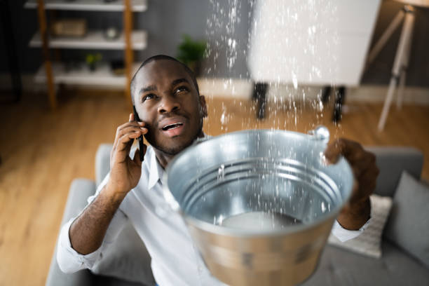 Best Commercial water damage restoration  in Rolesville, NC