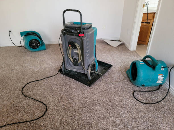 Best Emergency water damage restoration  in Rolesville, NC