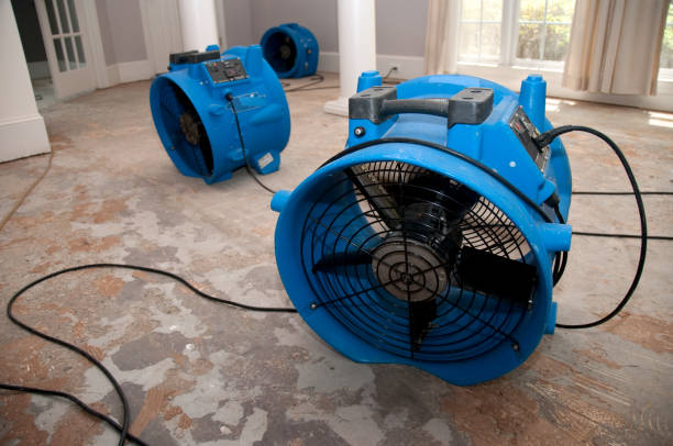 Best Water damage cleanup near me  in Rolesville, NC
