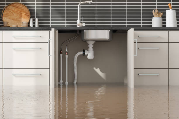 Best Sewage cleanup and water damage restoration  in Rolesville, NC