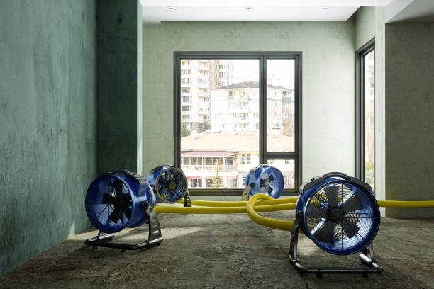 Best Local water damage restoration  in Rolesville, NC